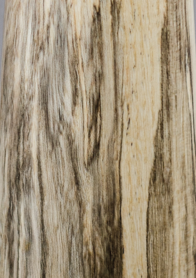 Spalted Hickory 2
